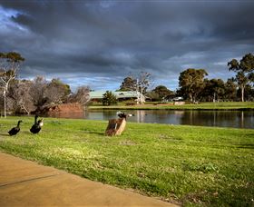 Roy Little Park Merredin - Accommodation Perth 2