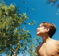 Birdwatching on Keswick Island - Accommodation Perth