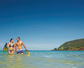 Scuba Diving On Keswick Island - Accommodation Perth 2