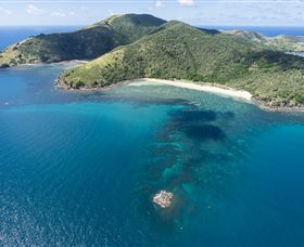 Scuba Diving On Keswick Island - Accommodation Perth 3