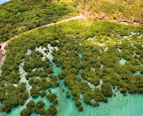 The Singapore Shipwreck Dive Site - Keswick Island - Accommodation Perth 0