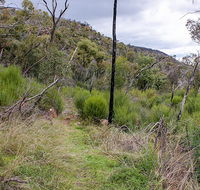 Lynchs loop trail - Accommodation Perth