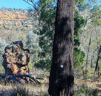 Eualdrie walking track - Accommodation Perth
