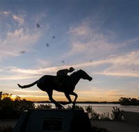 Black Caviar Statue - Accommodation Perth