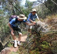 Mount Arthur Reserve - Accommodation Perth