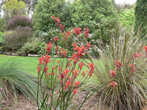 Timandra By The Sea - Accommodation Perth 11