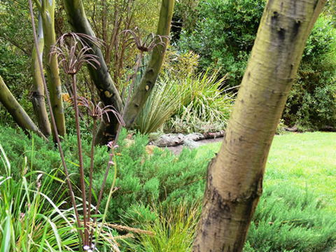 Timandra By The Sea - Accommodation Perth 12