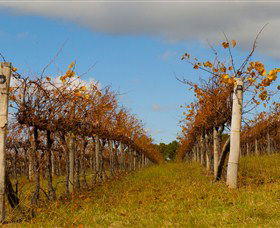 Charles Sturt University Winery Wagga Wagga - Accommodation Perth 3