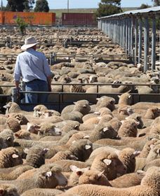 Livestock Marketing Centre - Perth Resorts 0