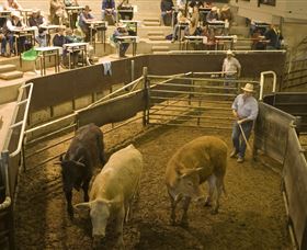 Livestock Marketing Centre - Perth Resorts 1