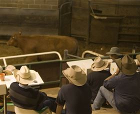 Livestock Marketing Centre - Perth Resorts 2