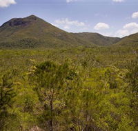 Kutini-Payamu Iron Range National Park CYPAL - Accommodation Perth
