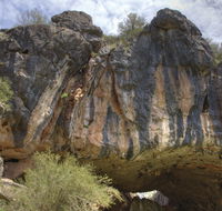 Borenore Karst Conservation Reserve - Accommodation Perth