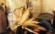 Buronga Organics - Coota - thumb 0