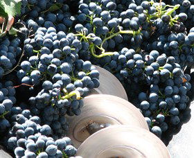 Orange Mountain Wines - Perth Resorts 2