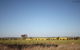 Cootamundra Bird Walk - thumb 0