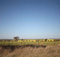 Cootamundra Bird Walk - Accommodation Perth