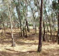Chiltern-Mt Pilot National Park - Accommodation Perth