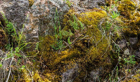 Hopetoun Falls Walking Track - Perth Resorts 2