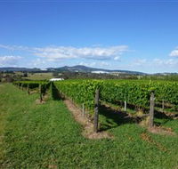Hedberg Hill Wines - Accommodation Perth