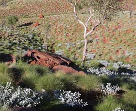 Camel Trail, Millstream-Chichester National Park - Accommodation Perth 2