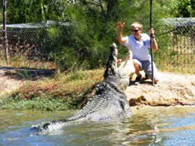 Koorana Crocodile Farm - Perth Resorts 1