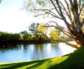 Albury - Murray River Precinct - Accommodation Perth 0