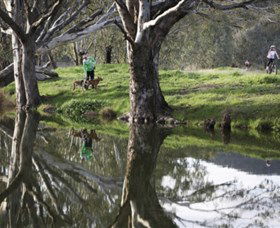 Albury - Murray River Precinct - Accommodation Perth 3