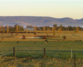 Holbrook Landcare Self-Drive Eco Tour - Accommodation Perth 0