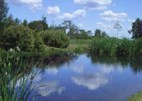 Yan Yean Reservoir Park - Perth Resorts 0