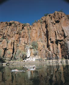Python Pool - Perth Resorts 3