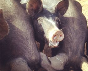 Ravens Creek Farm - Accommodation Perth 3