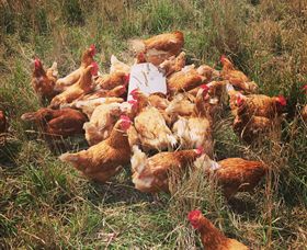 Ravens Creek Farm - Accommodation Perth 6