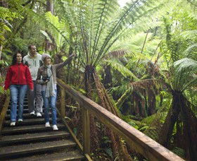 Beech Forest ACT Accommodation Perth
