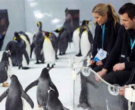 SEA LIFE Melbourne Aquarium - Accommodation Perth 2