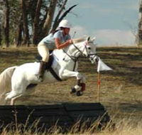National Equestrian Centre - Kerrabee - Accommodation Perth