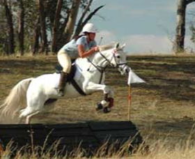 National Equestrian Centre - Kerrabee - Accommodation Perth 0