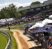Thoroughbred Park Canberra Racing Club - Horse Racing in the Nations Capital - Accommodation Perth