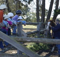 Harlow Park Horse Riding - Accommodation Perth