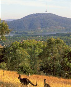 Canberra Centenary Trail - Perth Resorts 0