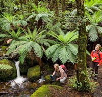Baw Baw National Park - Accommodation Perth