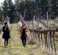 Mount Majura Vineyard - Perth Resorts