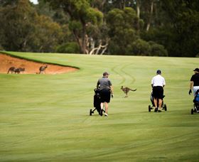 Federal Golf Club - Perth Resorts 0
