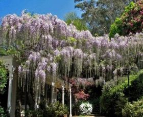 Mount Wilson NSW Accommodation Perth