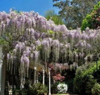 Nooroo Gardens - Accommodation Perth