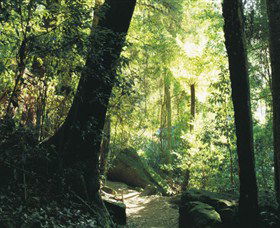 Blue Mountains National Park - Perth Resorts 5