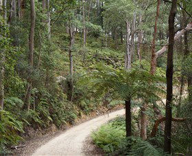 Blue Mountains National Park - Perth Resorts 8