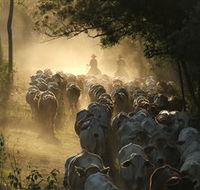 Springvale Horse Treks - Accommodation Perth