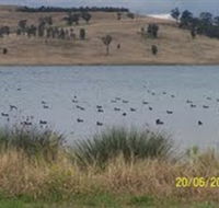 Lake Liddell Recreation Area - Accommodation Perth