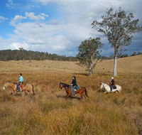 Chapman Valley Horse Riding - Accommodation Perth